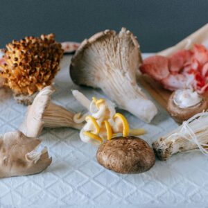 Mushroom Spore Set